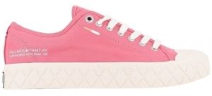Derbie Palladium  74447