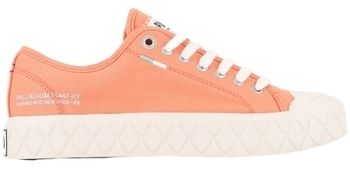 Derbie Palladium  74447