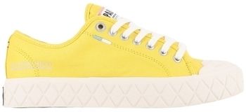 Derbie Palladium  74447