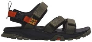 Derbie Timberland  Garrison Trail BACKSTRAP