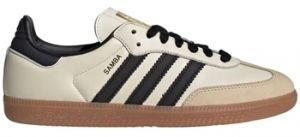 Derbie adidas  SAMBA