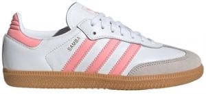 Derbie adidas  SAMBA