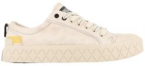 Derbie Palladium  74488