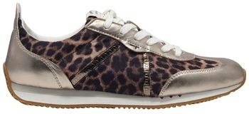 Derbie Tamaris  1-23653-44