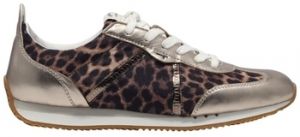 Derbie Tamaris  1-23653-44