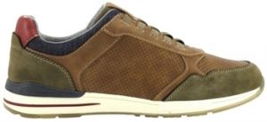 Derbie Mustang  4154-401