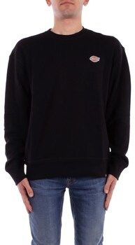 Svetre Dickies  DK0A4YLZ