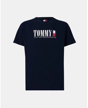 Tričká s krátkym rukávom Tommy Hilfiger  DM0DM21941