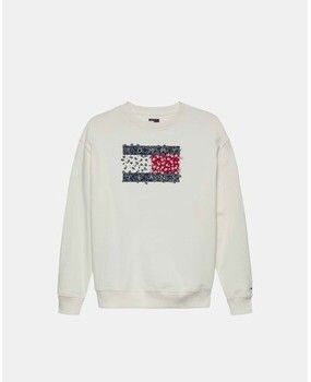 Mikiny Tommy Hilfiger  DW0DW20933
