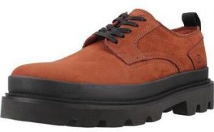 Derbie Clarks  BADELL LACE