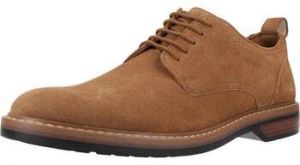 Derbie Clarks  ALDWIN LACE SUEDE