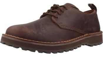 Derbie Clarks  SOLSBURY LACE