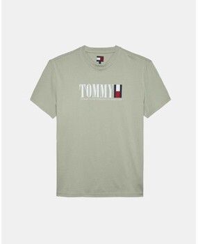 Tričká s krátkym rukávom Tommy Hilfiger  DM0DM21941