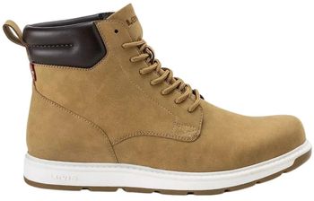Derbie Levis  235884-794