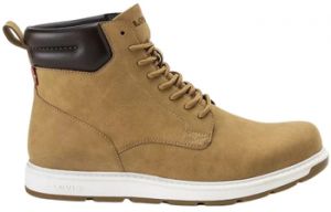 Derbie Levis  235884-794
