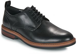 Derbie Clarks  Aldwin Lace