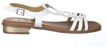 Sandále Oh My Sandals  ŽABKY  5593