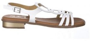 Sandále Oh My Sandals  ŽABKY  5593