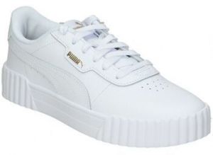 Univerzálna športová obuv Puma  401476-01
