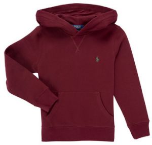 Mikiny Polo Ralph Lauren  LS PO HOOD