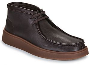 Derbie Clarks  Torview Hi