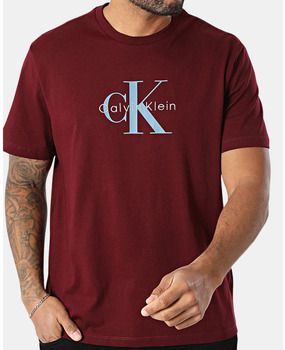 Tričká s krátkym rukávom Calvin Klein Jeans  LV04RB862G