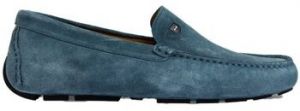 Derbie Eden Park  E25CHSMO0001