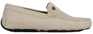 Derbie Eden Park  E25CHSMO0001