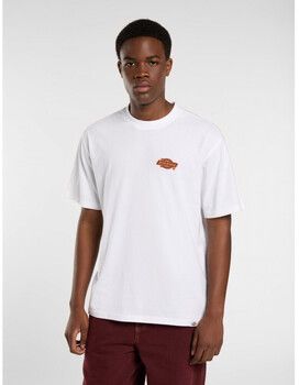 Tričká s krátkym rukávom Dickies  Graysville tee ss