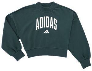 Mikiny adidas  Seasonals Essentials Collegiate Typography Crewneck Sweatshirt K
