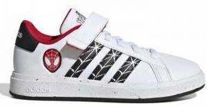 Nízke tenisky adidas  Grand court spider