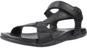 Sandále Kangaroos  K856