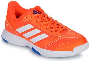 Indoor obuv adidas  Ligra 8 M