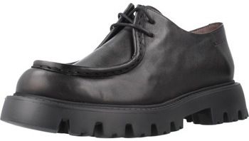 Derbie Wonders  C7514