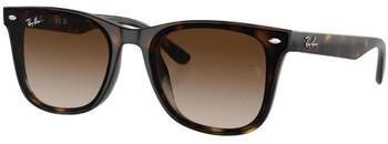 Slnečné okuliare Ray-ban  UNISEX 0RB4420 710/13