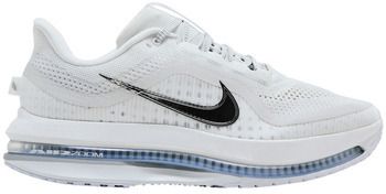 Nízke tenisky Nike  Air Zoom Pegasus Premium White Metallic Silver