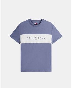 Tričká s krátkym rukávom Tommy Hilfiger  DM0DM21933