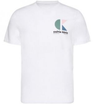 Tričká s krátkym rukávom Calvin Klein Jeans  LV04RC843G