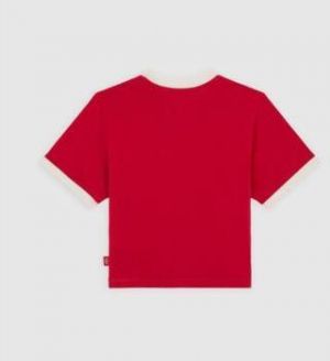 Tričká s krátkym rukávom Dickies  DK0A4Z8I0ER1 LEWISTOWN RINGER