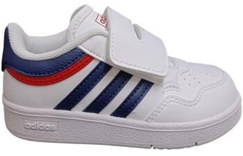Nízke tenisky adidas  hoops