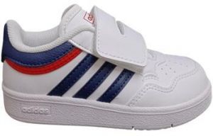 Nízke tenisky adidas  hoops