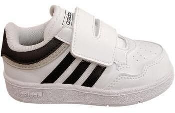 Nízke tenisky adidas  hoops