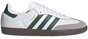 Nízke tenisky adidas  Samba OG J JQ2843