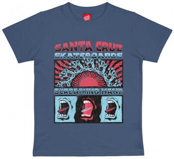Tričká s krátkym rukávom Santa Cruz  Youth vtg screaming connect