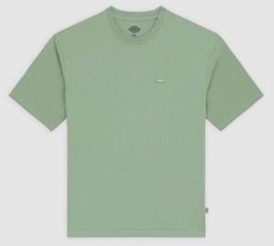 Tričká s krátkym rukávom Dickies  CLANCY HEAVYWEIGHT