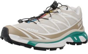 Bežecká a trailová obuv Salomon  XT 6