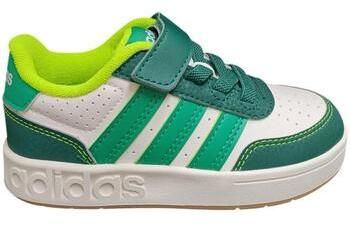 Nízke tenisky adidas  rapid court