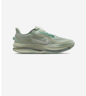 Nízke tenisky Nike  Air Zoom Pegasus Premium Jade Horizon