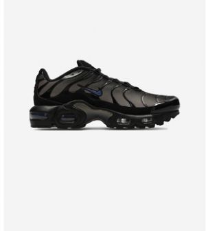 Nízke tenisky Nike  Air Max Plus GS Black Cave Stone