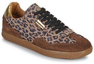 Nízke tenisky Steve Madden  EMPORIA